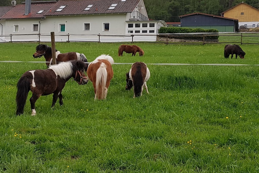 87288 - Niet-getagd