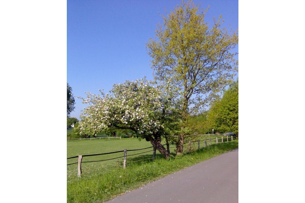 114326 - Niet-getagd