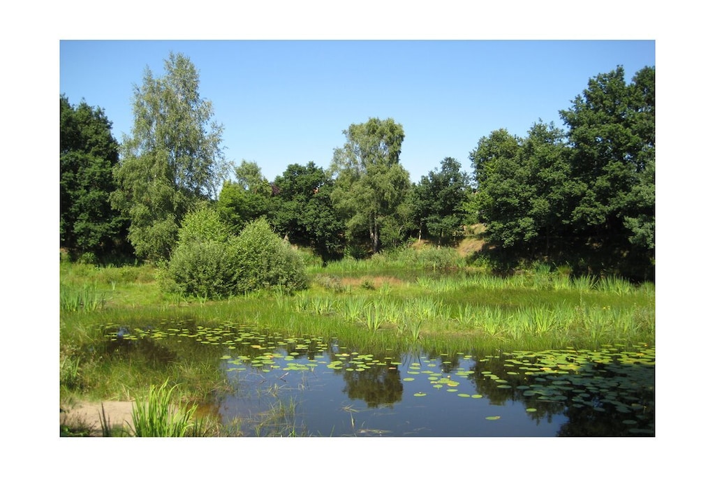 82294 - Niet-getagd