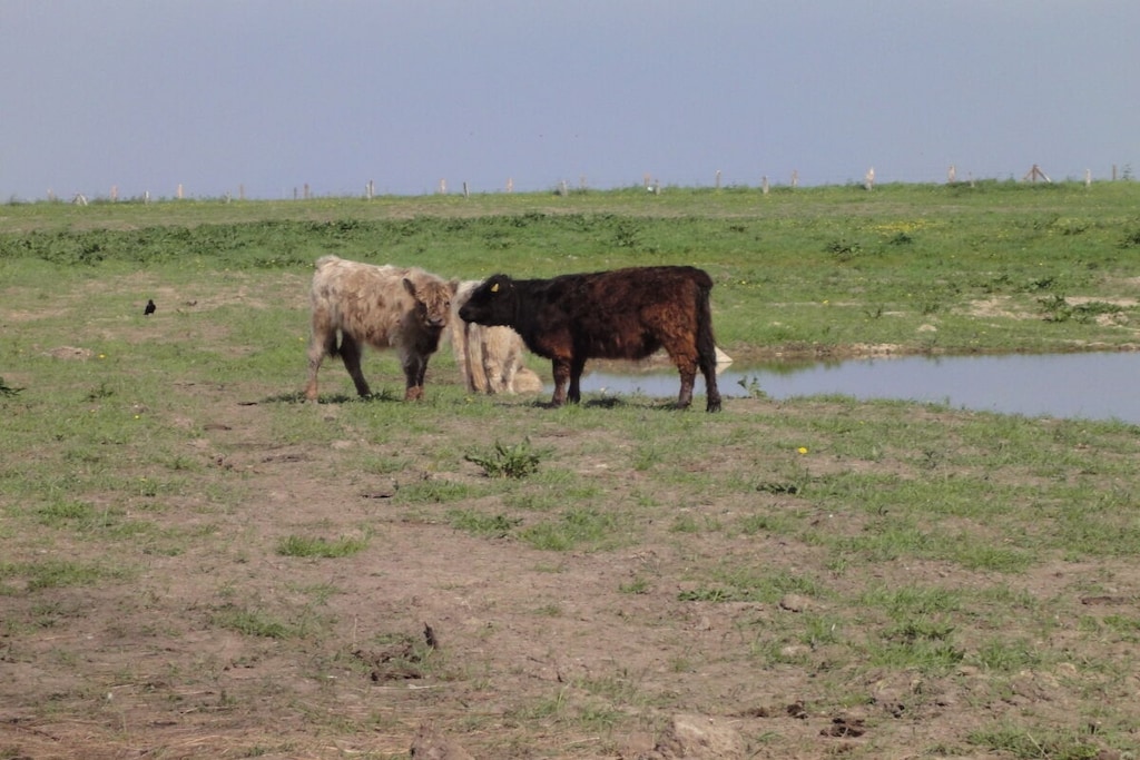 342312 - Niet-getagd
