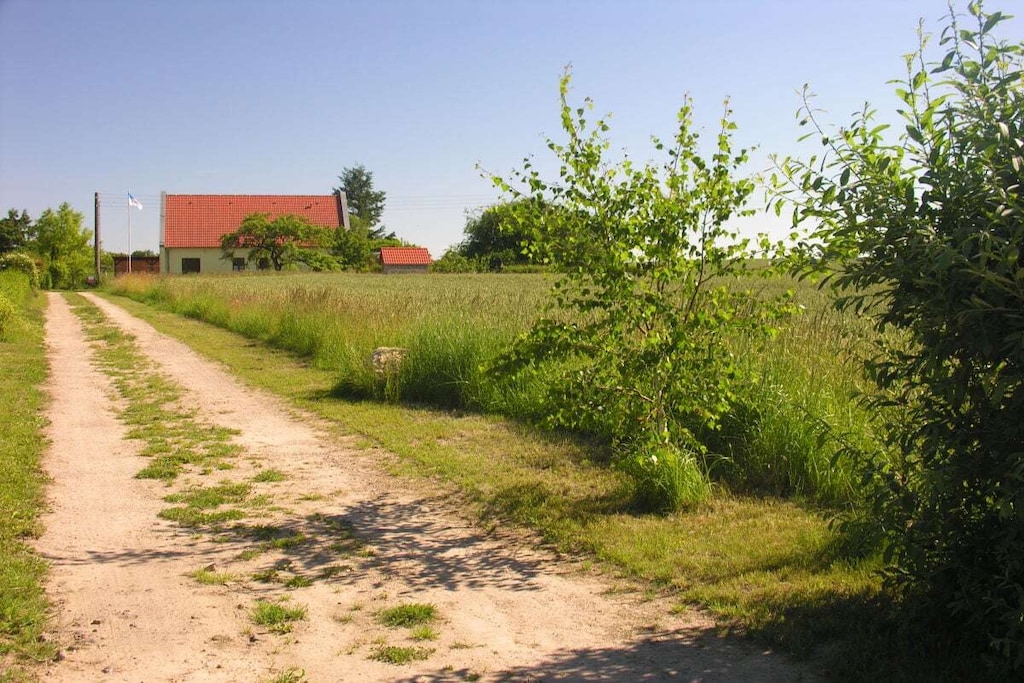 20002