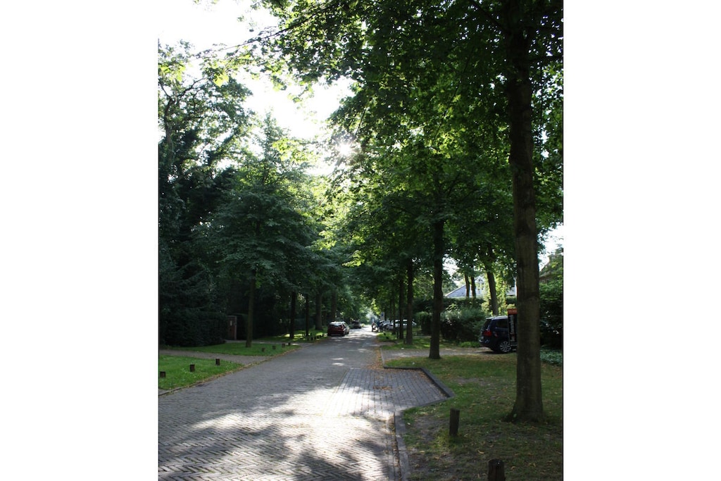 242590 - Niet-getagd