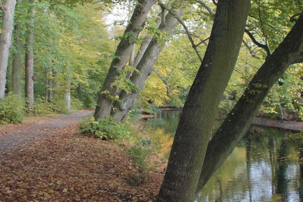 242590 - Niet-getagd