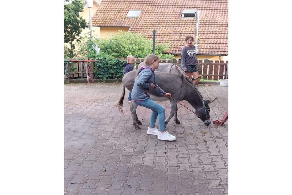 32639 - Niet-getagd