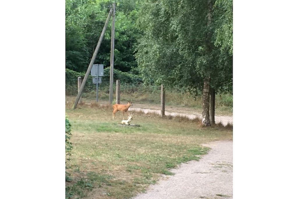 211557 - Niet-getagd