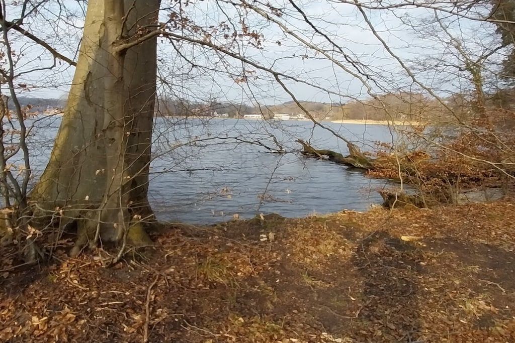 323050 - Niet-getagd