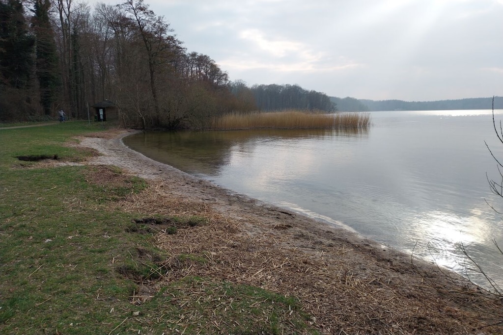 323050 - Niet-getagd