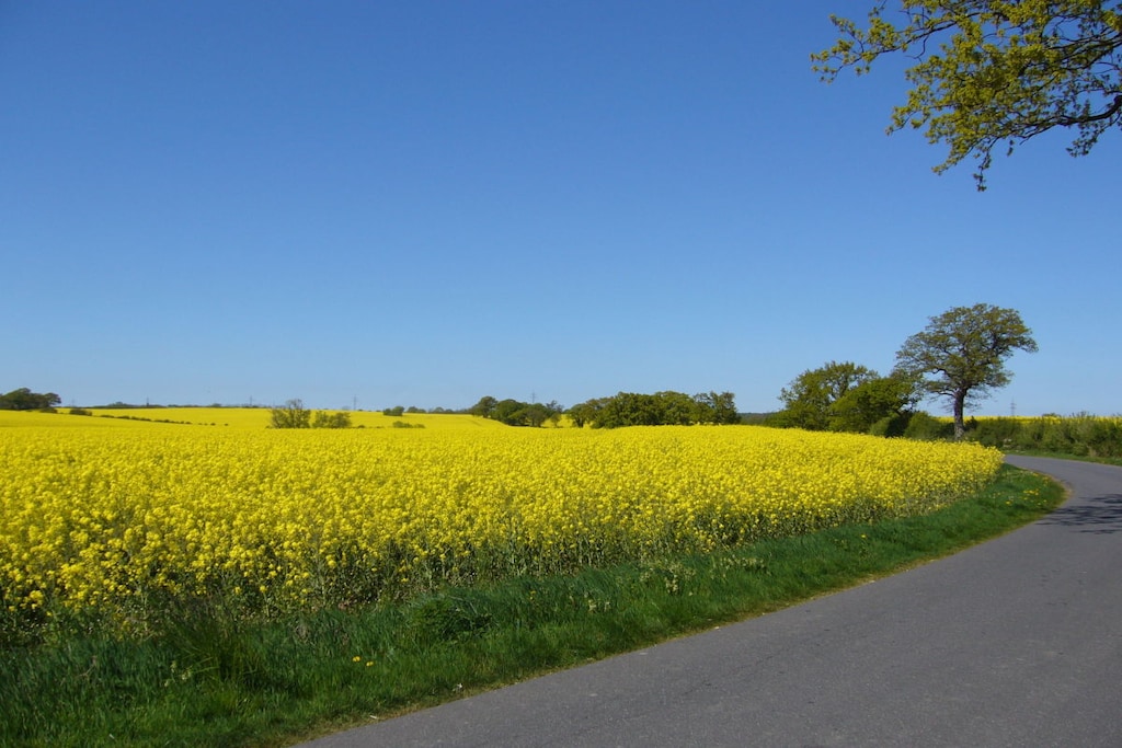 37165 - Niet-getagd