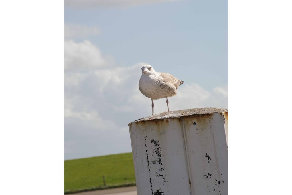 163338 - Niet-getagd