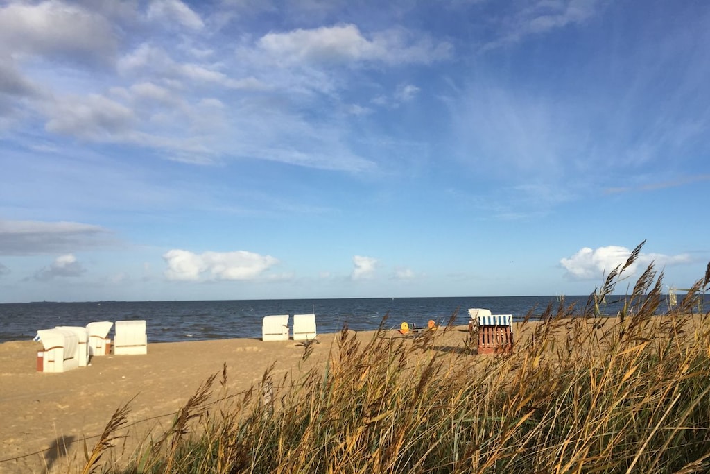 116531 - Niet-getagd