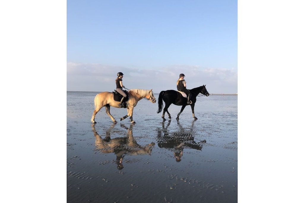 116531 - Niet-getagd