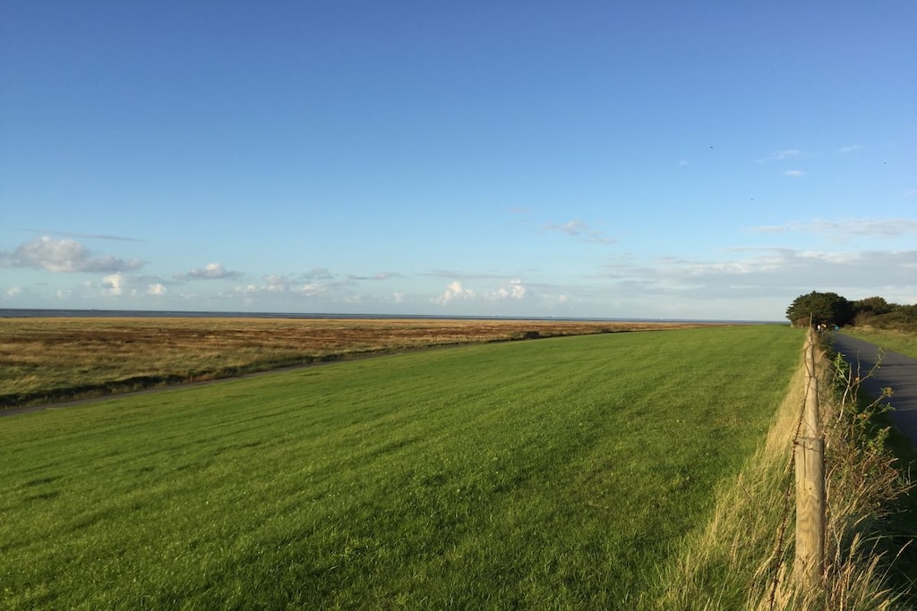 116531 - Niet-getagd