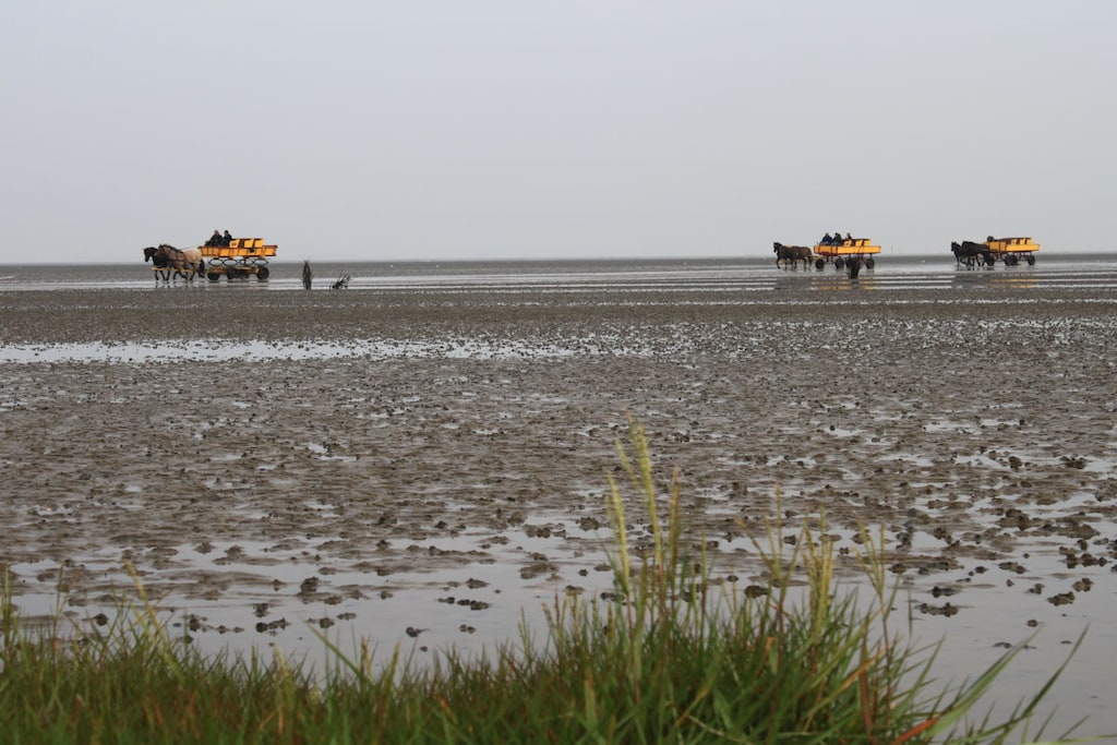 116531 - Niet-getagd