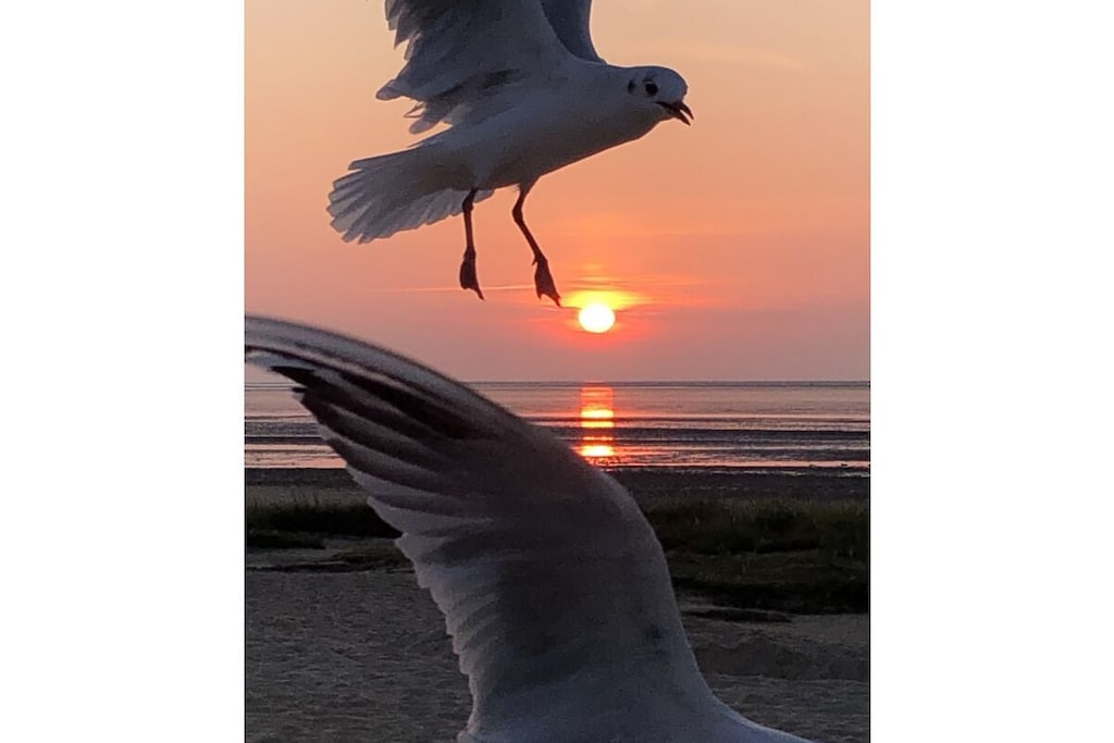 116531 - Niet-getagd
