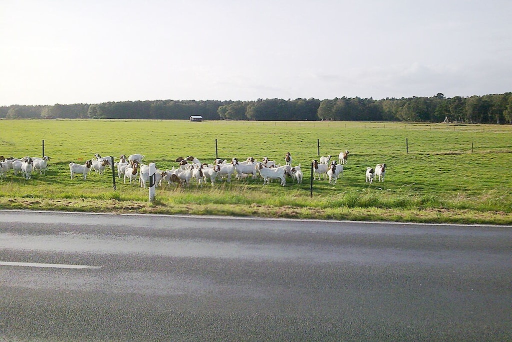 18780 - Niet-getagd