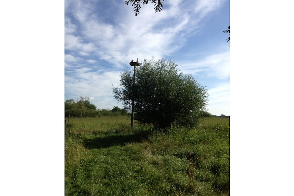 67570 - Niet-getagd