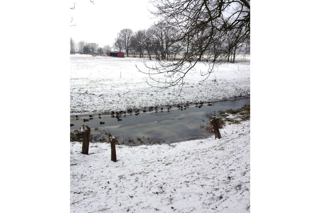 67570 - Niet-getagd