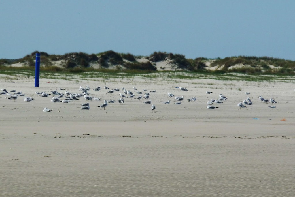 12430 - Niet-getagd