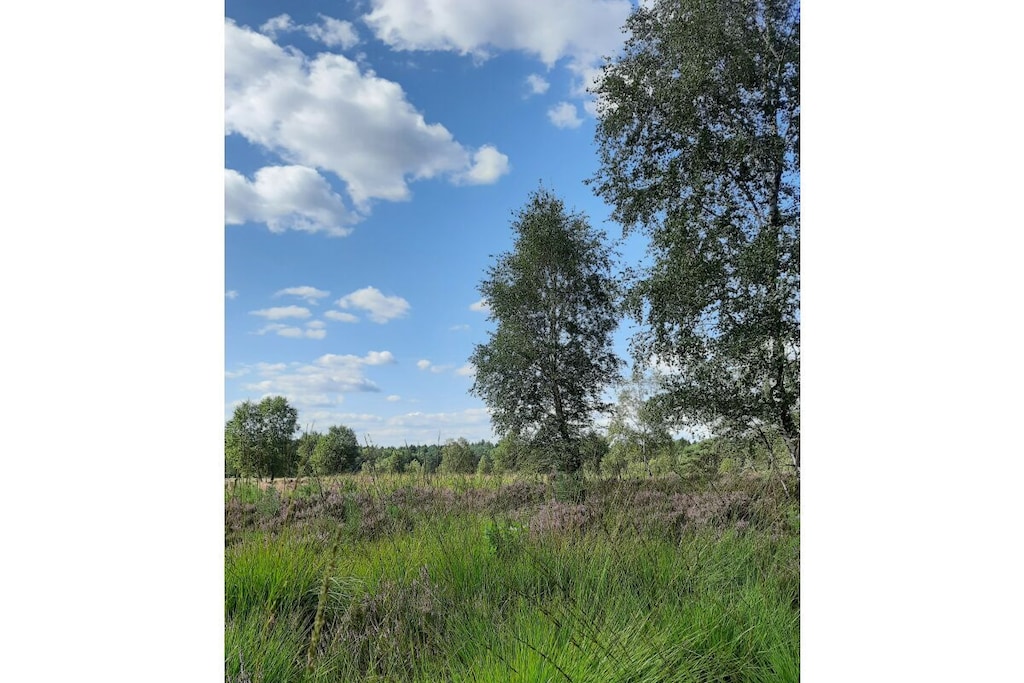 212277 - Niet-getagd
