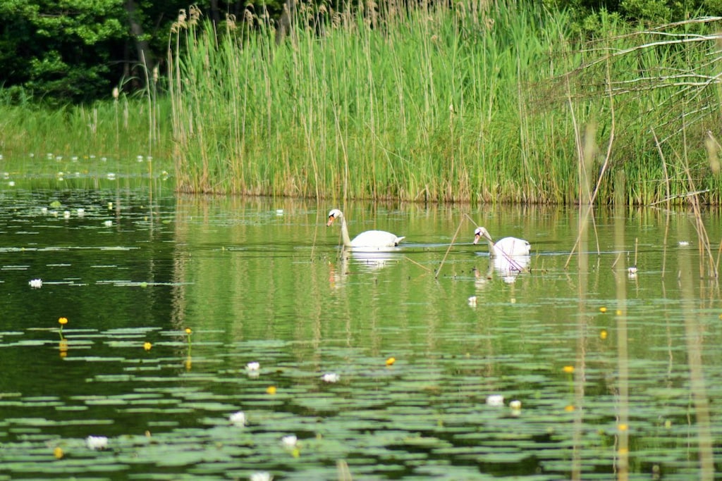 142633 - Niet-getagd