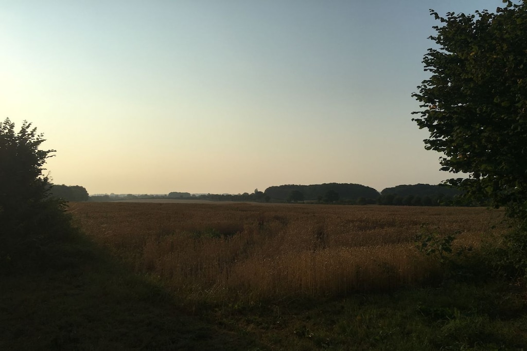 239874 - Niet-getagd