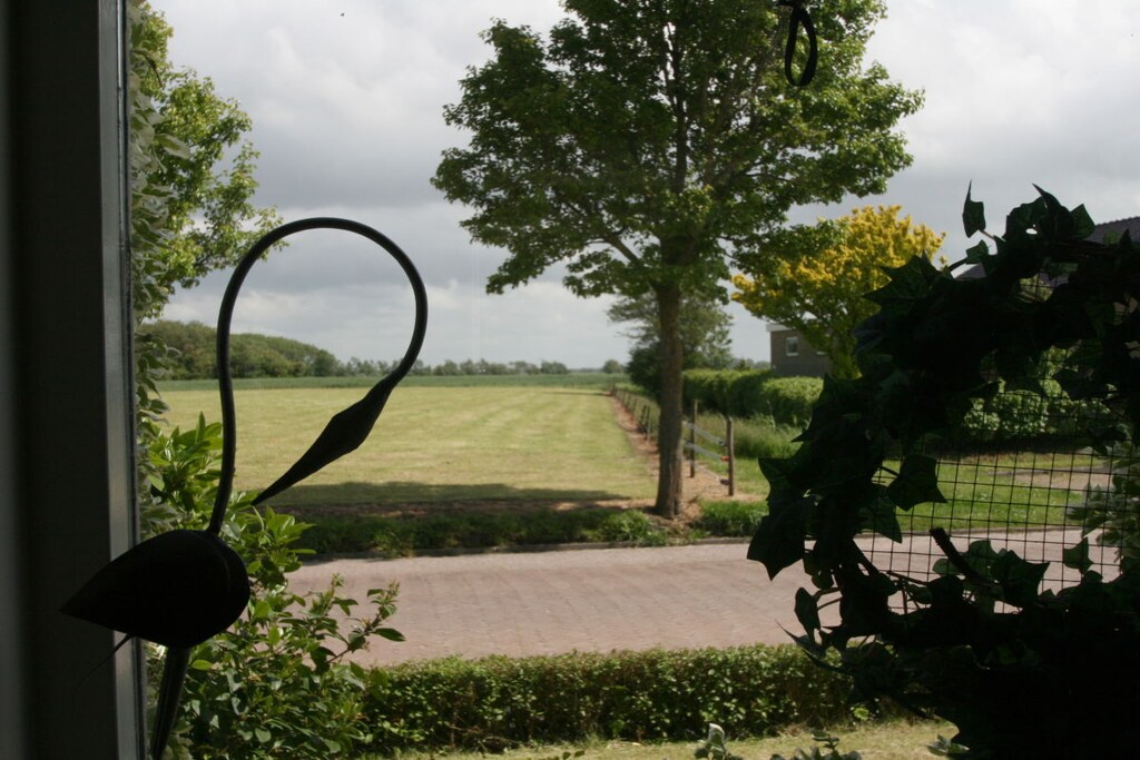 65445 - Niet-getagd