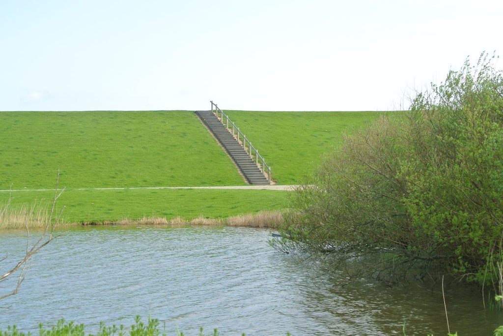 65445 - Niet-getagd