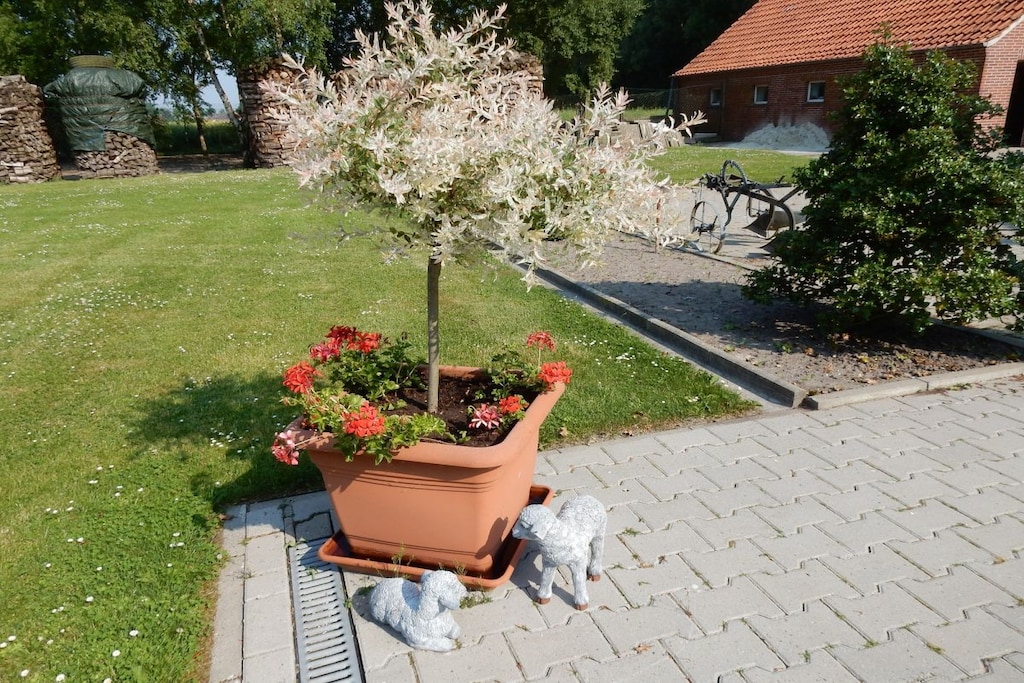 230568 - Niet-getagd