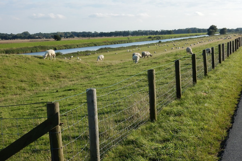 230568 - Niet-getagd
