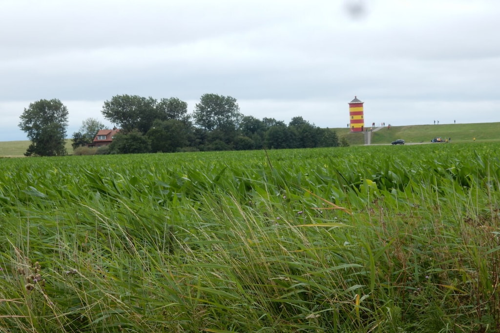 230568 - Niet-getagd