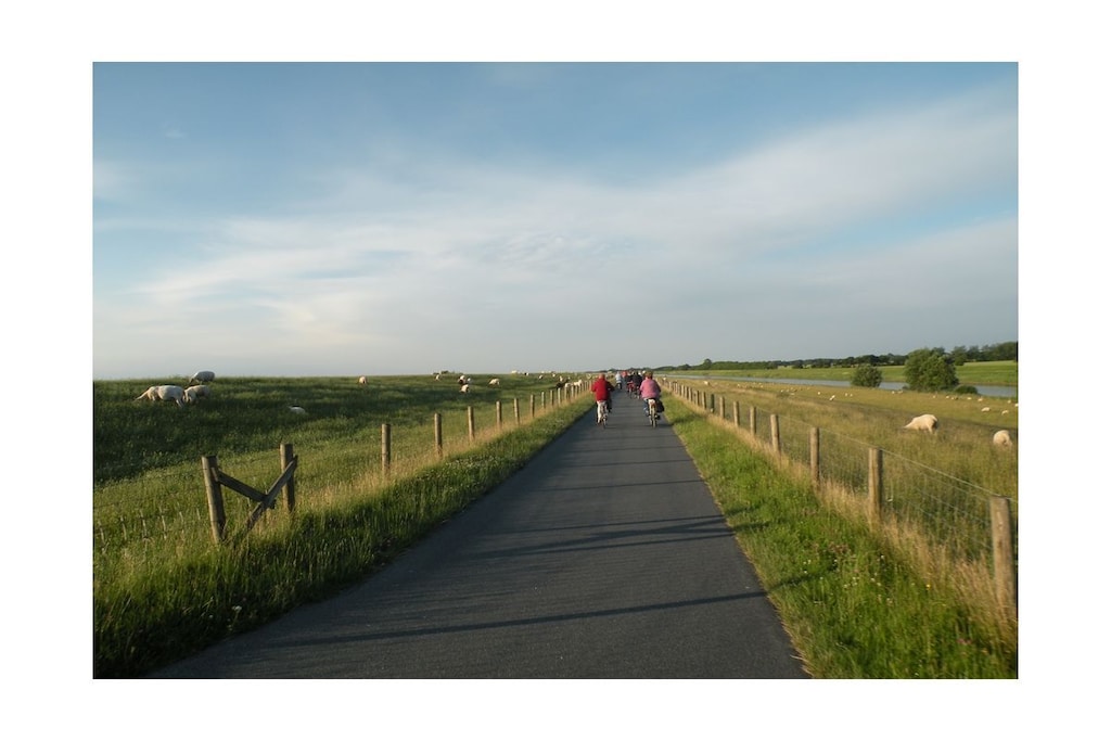 230568 - Niet-getagd
