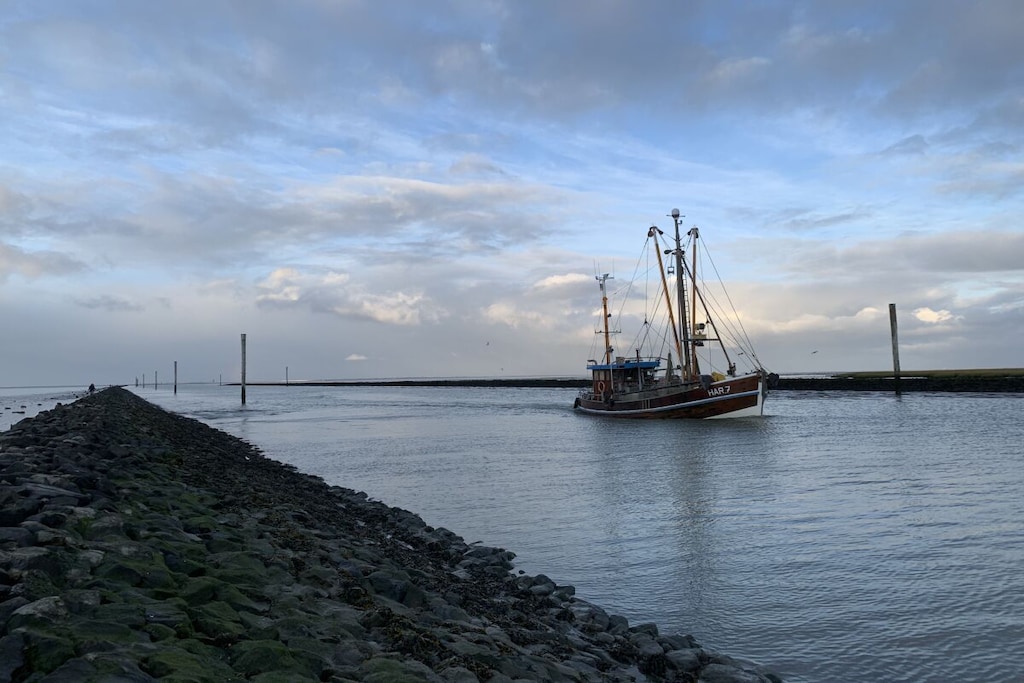 205335 - Niet-getagd