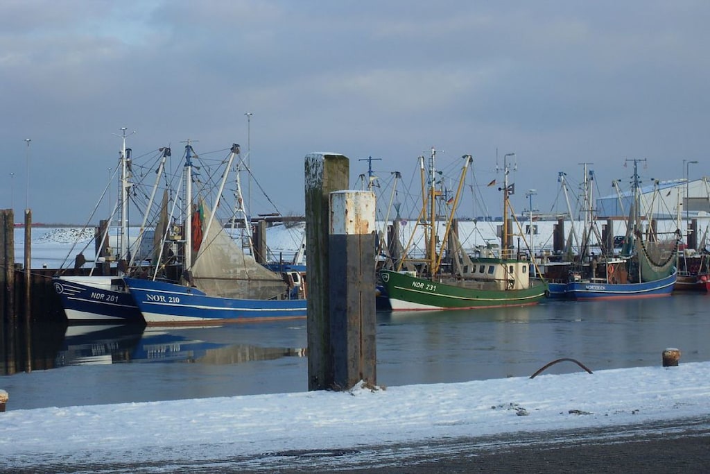 138218 - Niet-getagd