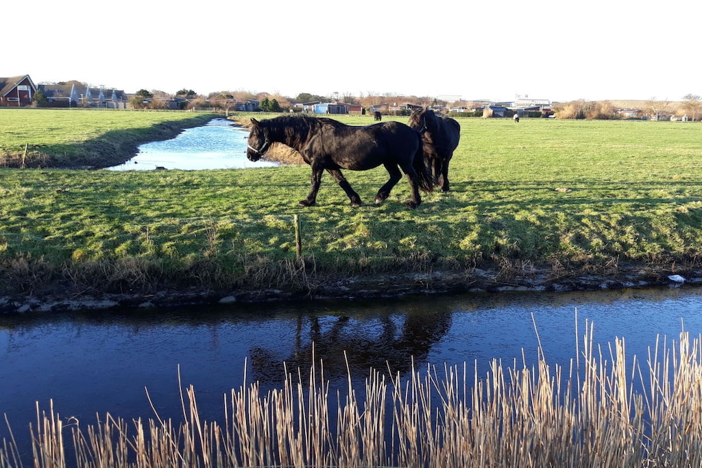 139851 - Niet-getagd