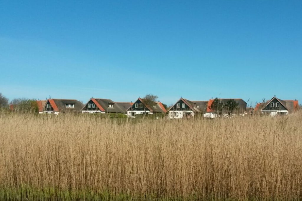 139851 - Niet-getagd