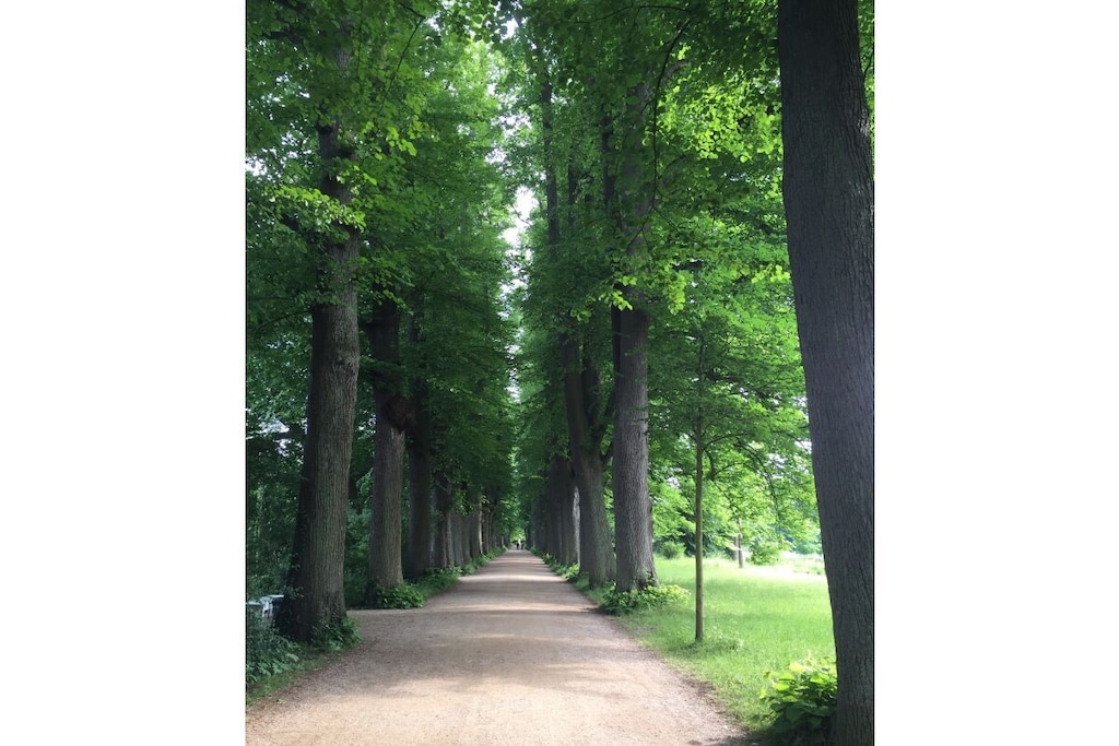 444631 - Niet-getagd