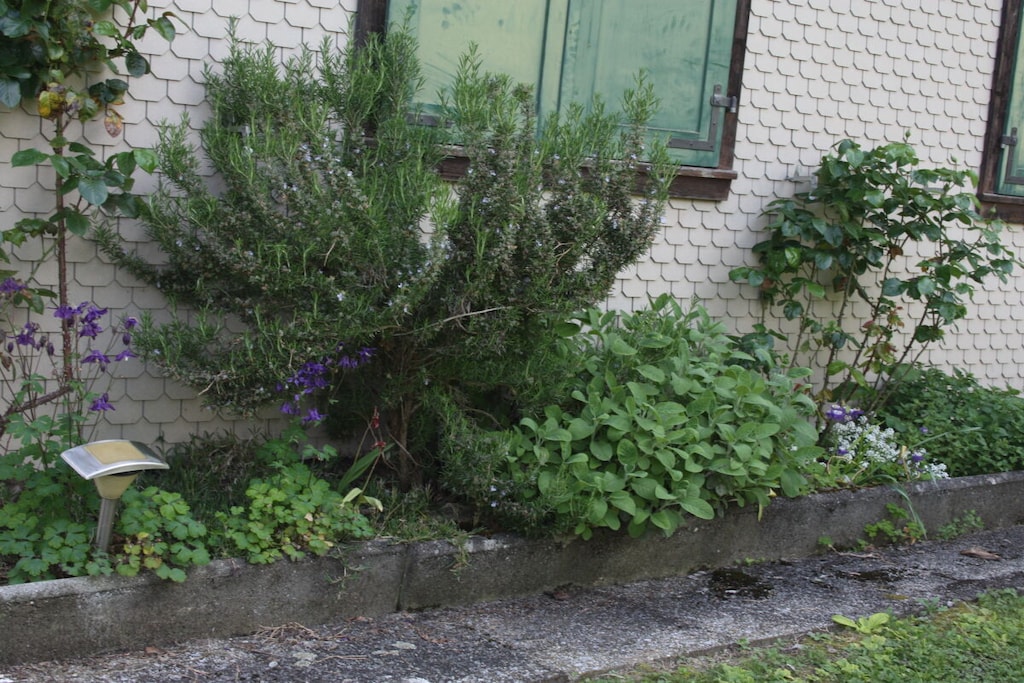 456743 - Niet-getagd
