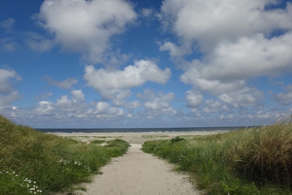 66091 - Niet-getagd