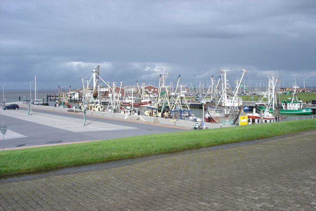 274718 - Niet-getagd