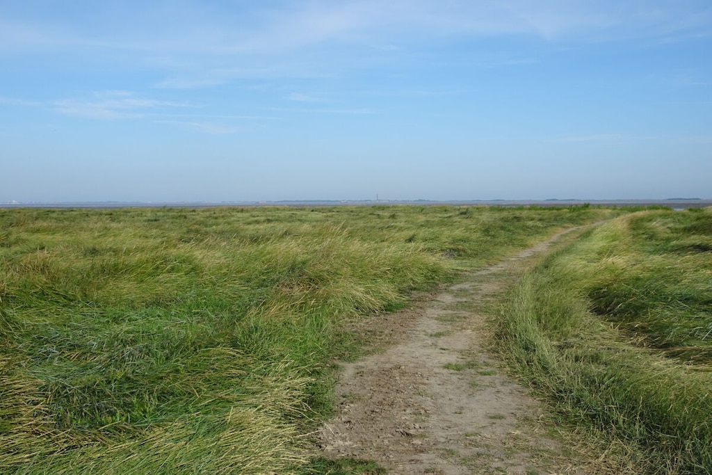 143699 - Niet-getagd