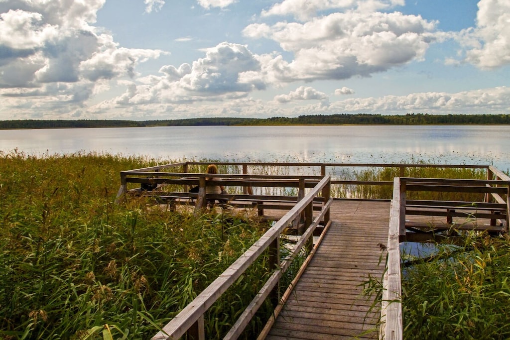 5463 - Niet-getagd