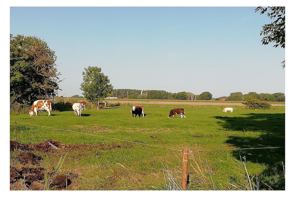 210530 - Niet-getagd