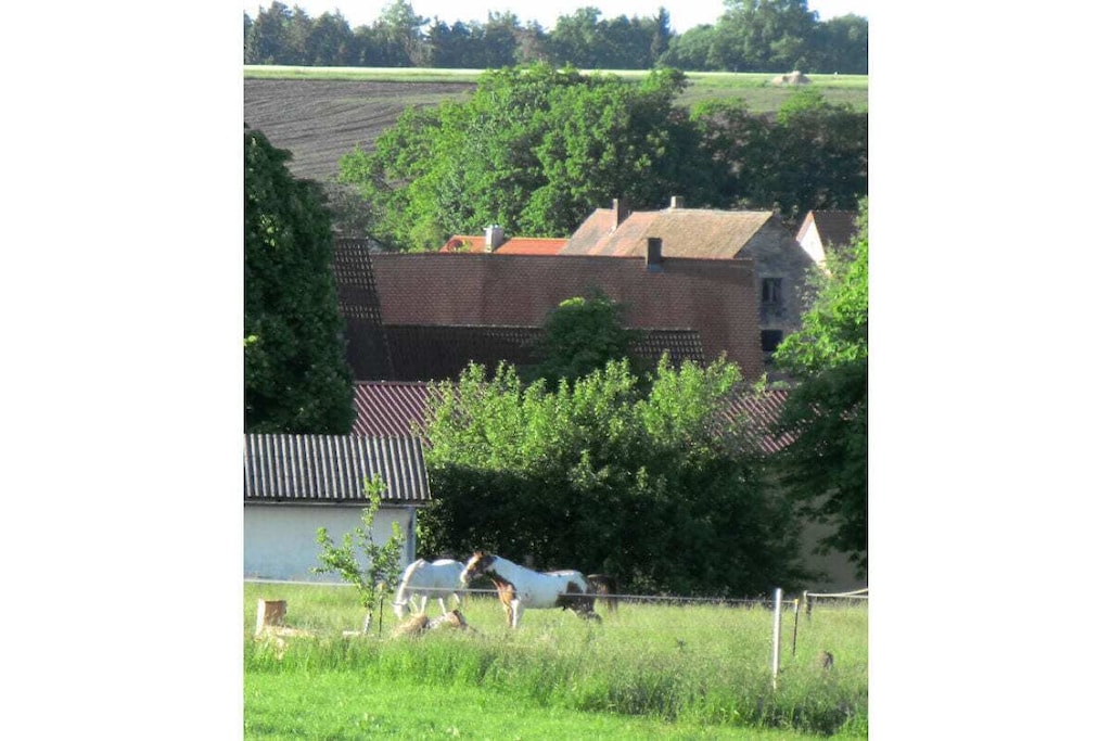 88035 - Niet-getagd