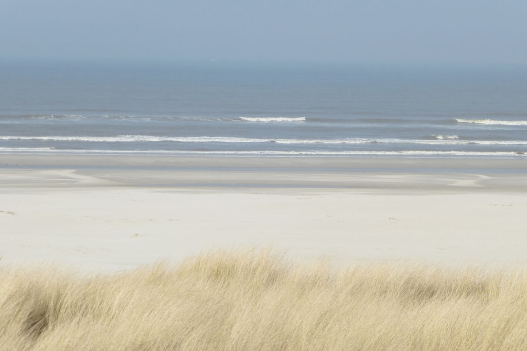 113558 - Niet-getagd