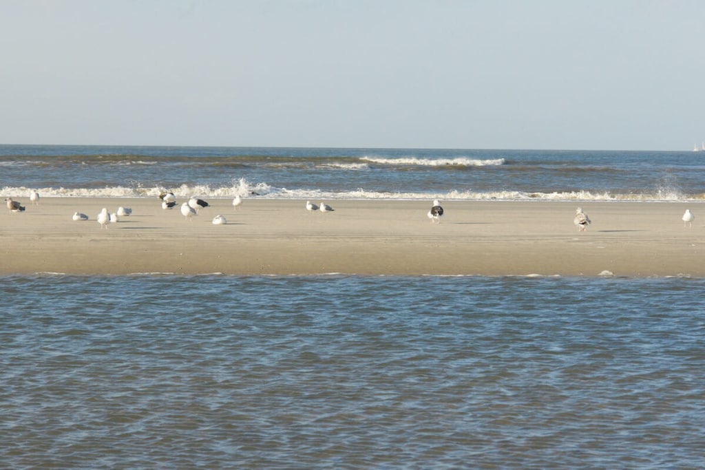 113558 - Niet-getagd