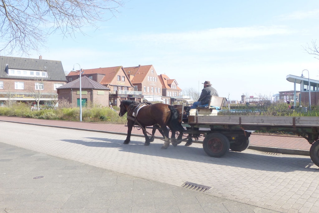 113558 - Niet-getagd