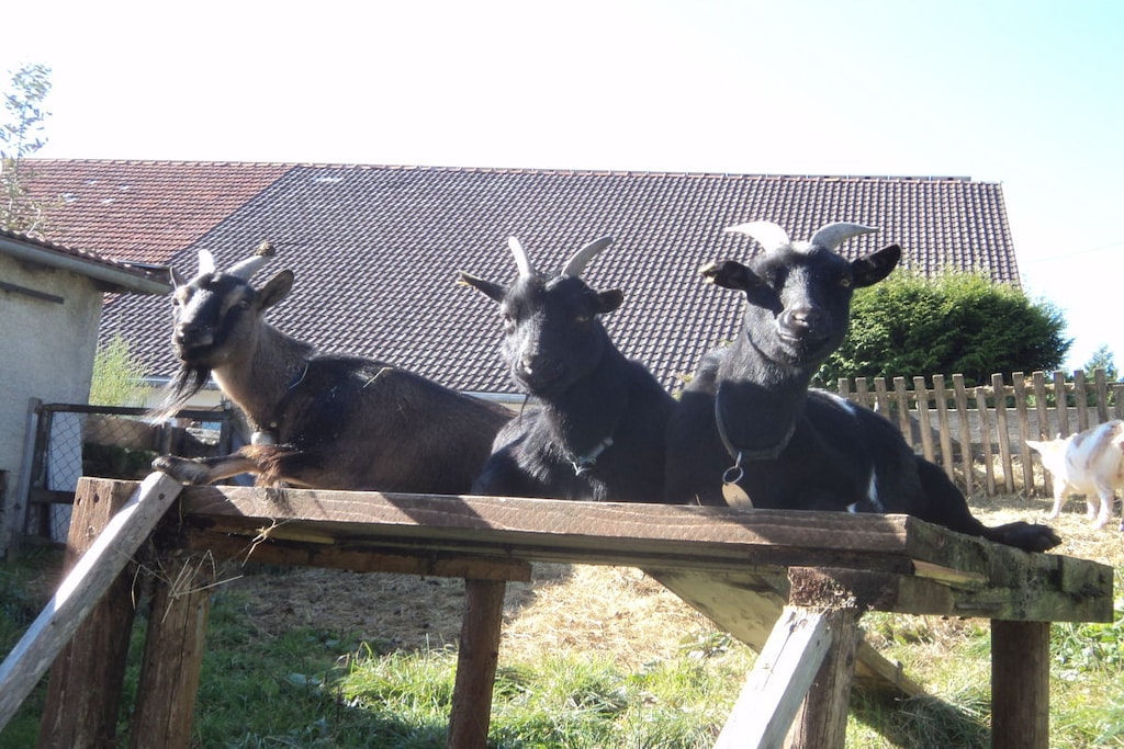 88991 - Niet-getagd