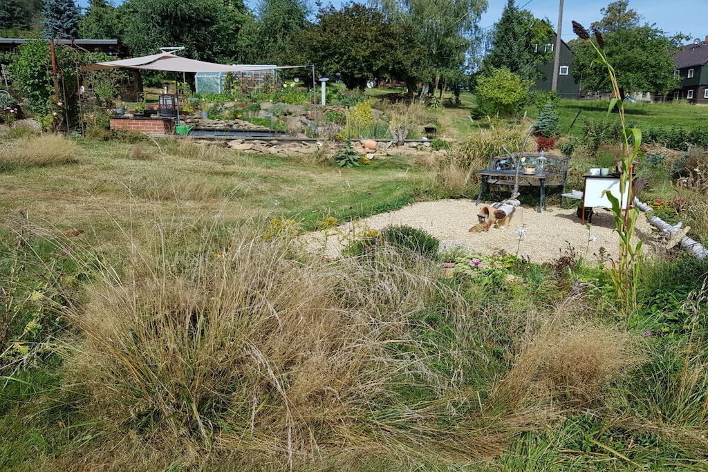 16709 - Non tagué