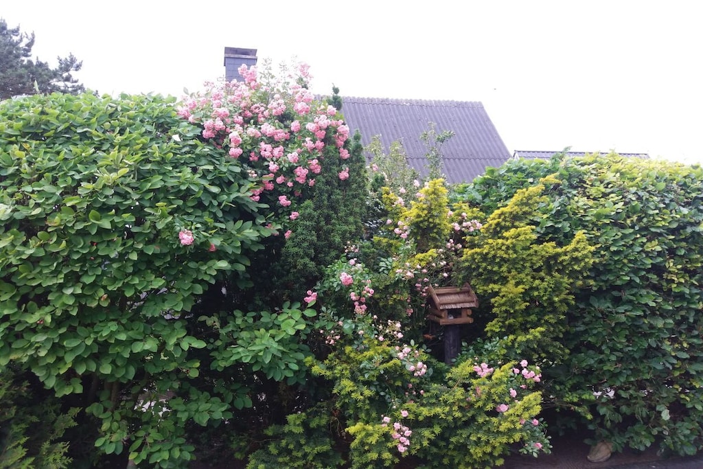 63115 - Niet-getagd