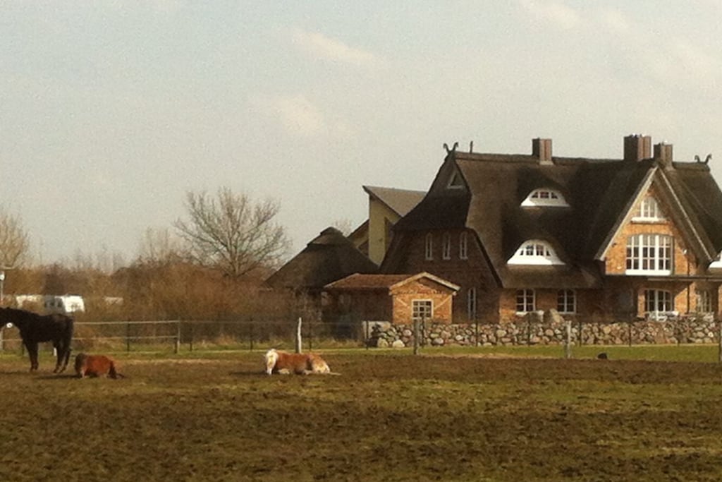 60836 - Niet-getagd